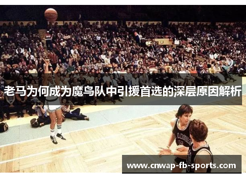 老马为何成为魔鸟队中引援首选的深层原因解析 老马为何成为魔鸟队中引援首选的深层原因解析