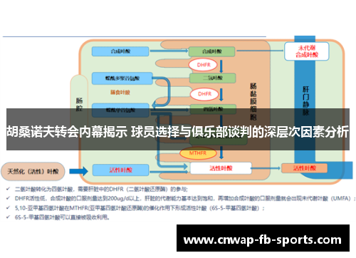 胡桑诺夫转会内幕揭示 球员选择与俱乐部谈判的深层次因素分析