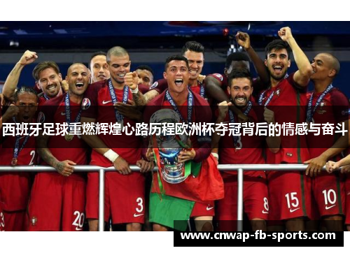 西班牙足球重燃辉煌心路历程欧洲杯夺冠背后的情感与奋斗 西班牙足球重燃辉煌心路历程欧洲杯夺冠背后的情感与奋斗