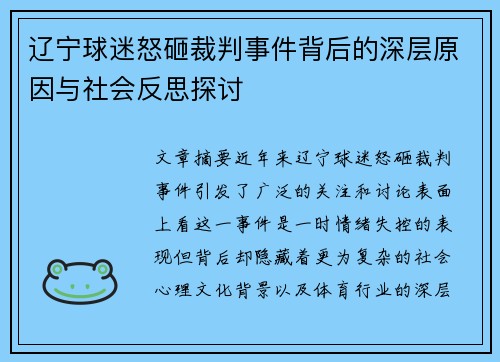 辽宁球迷怒砸裁判事件背后的深层原因与社会反思探讨