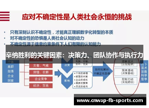 辛纳胜利的关键因素：决策力、团队协作与执行力